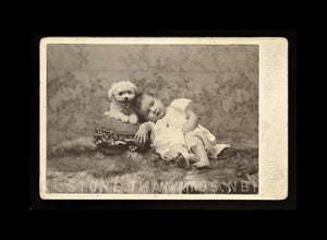 1890s Photo Little Girl & Extremely Happy Poodle? Dog! Dallas Texas Photographer