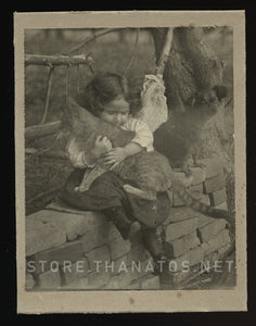 Cute Old Photo Little Girl Hugging Big Cat while Pet Dog Sits By - Antique 1900s