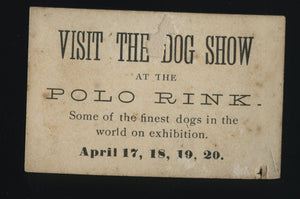 Rare 1880s Dog Show Advertisement - Miniature Format Photo White Pit Bull