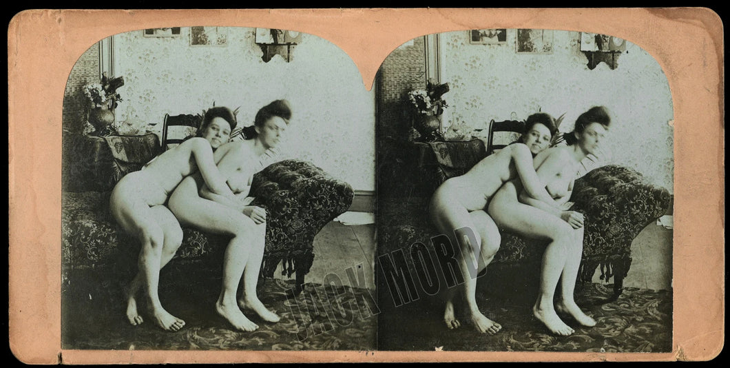 rare risque stereoview photo c1900 / nude girls hugging on couch