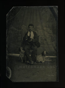 Tintype Man Posing with Three Dogs - One Very Unruly