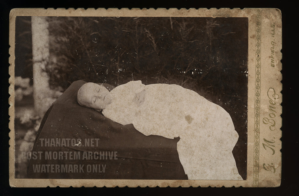 post mortem photo baby photographed outdoors, enfield illinois