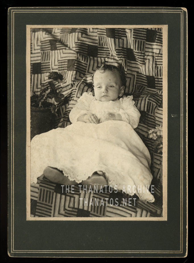 Post Mortem Child, Potted Flowers, Quilt Backdrop - Early 1900s
