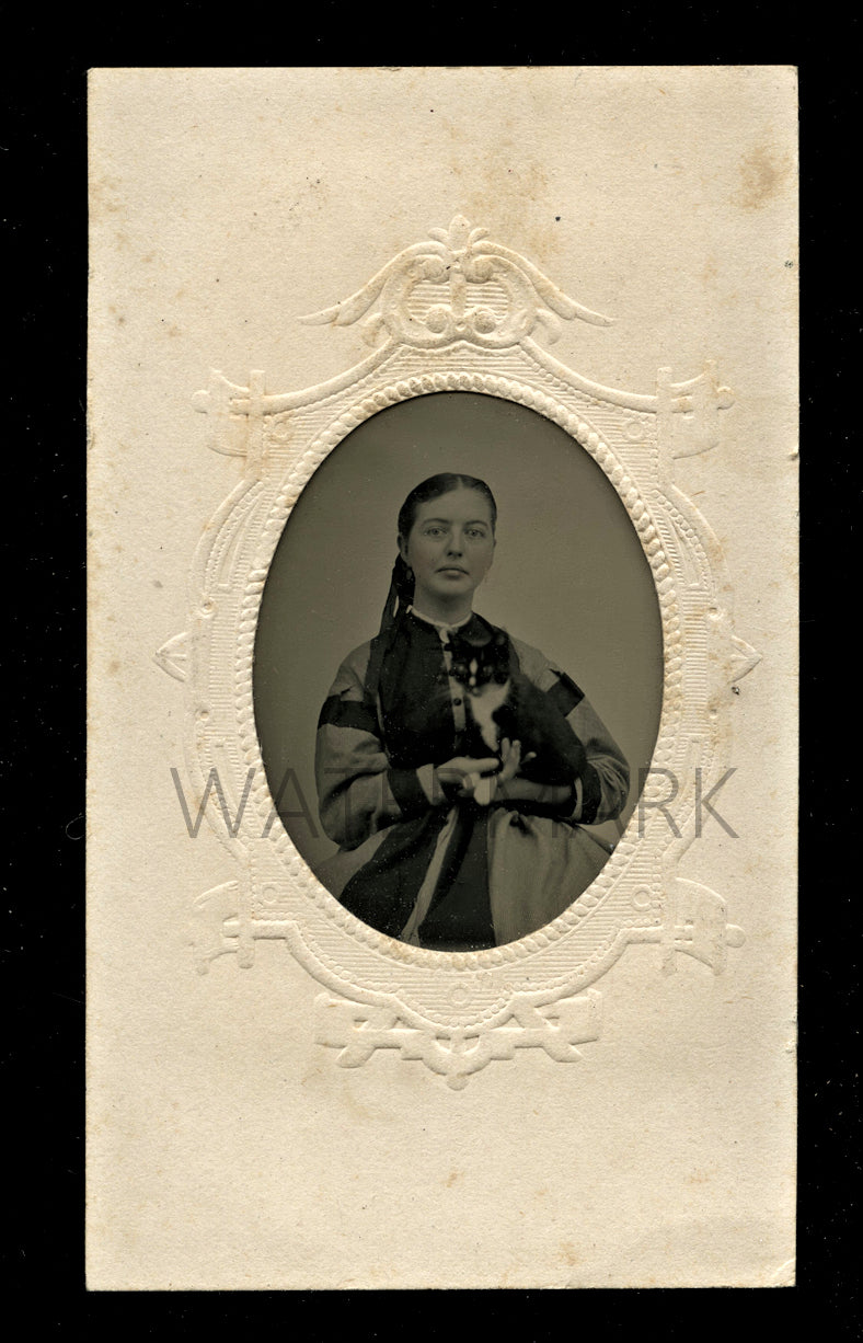 Pretty Woman Holding a Cute Cat or Kitten 1860s Tintype Photo Antique RARE VTG