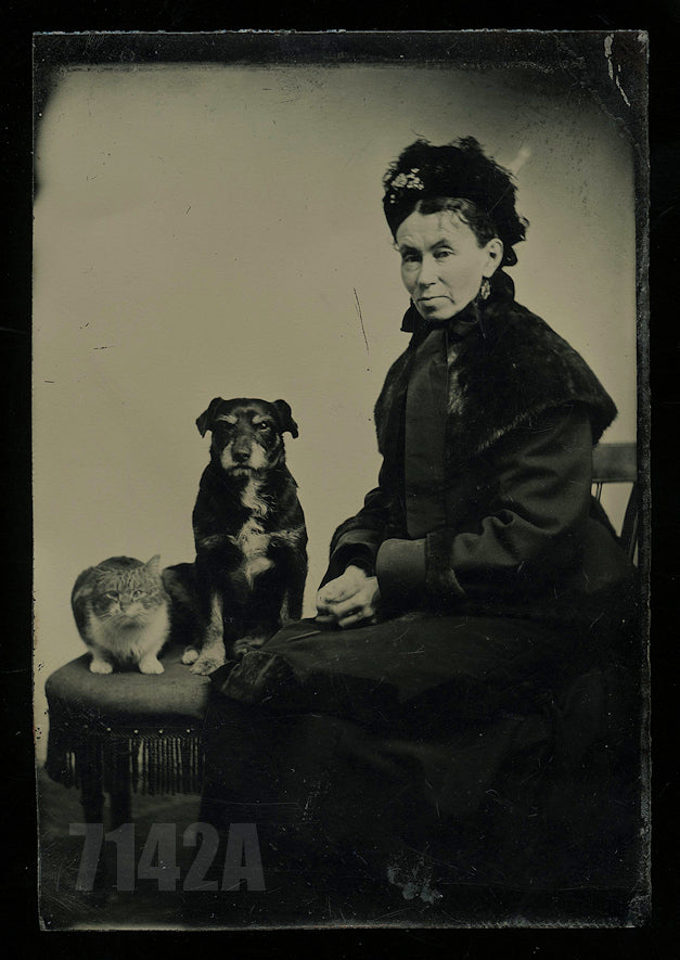 Excellent Tintype Victorian Woman with Cat & Dog