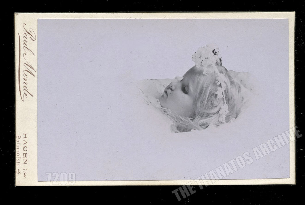 Post Mortem Little Girl Vignette Wearing Crown of Flowers 1800s CDV
