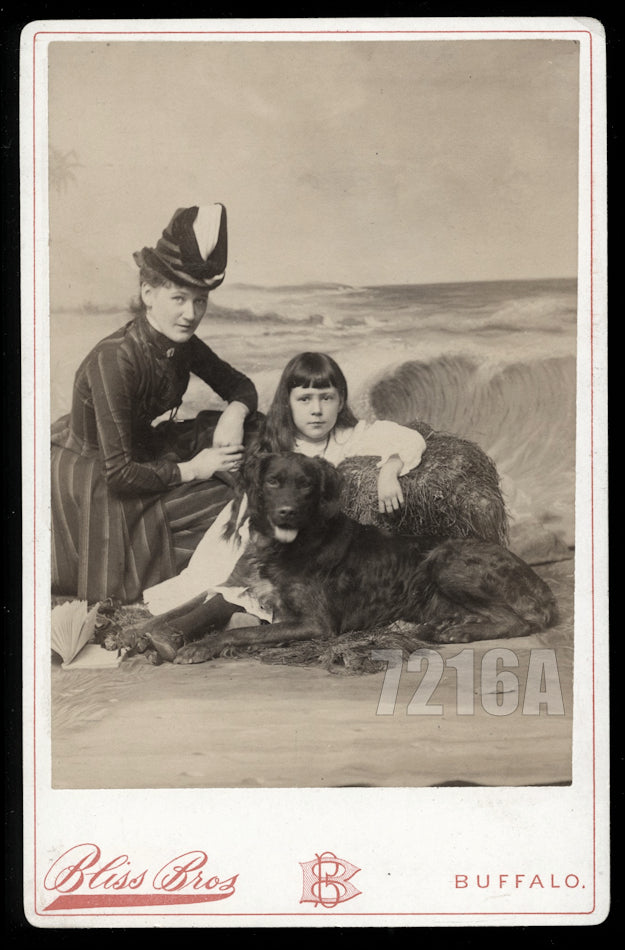 Cabinet Photo Woman Girl & Retriever Dog on Beach Buffalo NY Photographer 1800s