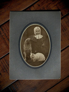 Wonderful Antique Photo Little ID'd Girl Pet Pug ?? Dog & White Cat 1800s 1900s
