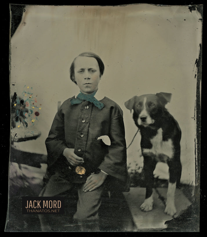 Tinted Ambrotype Boy Holding His Dog on Leash, Hand Painted Flowers - Excellent!