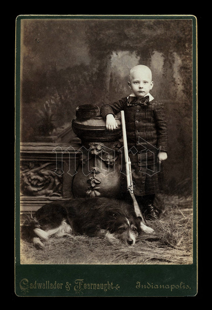 Dated 1880s Cabinet Photo Boy Posed with Dog & Toy Gun - Indianapolis