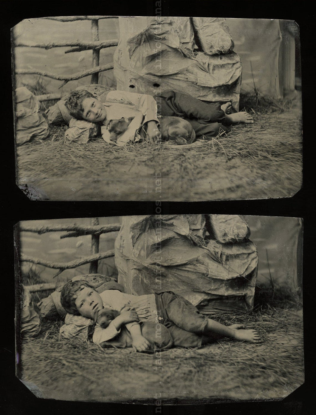 Antique Tintype Photo Set: Barefoot Country Boys with Puppy Dog
