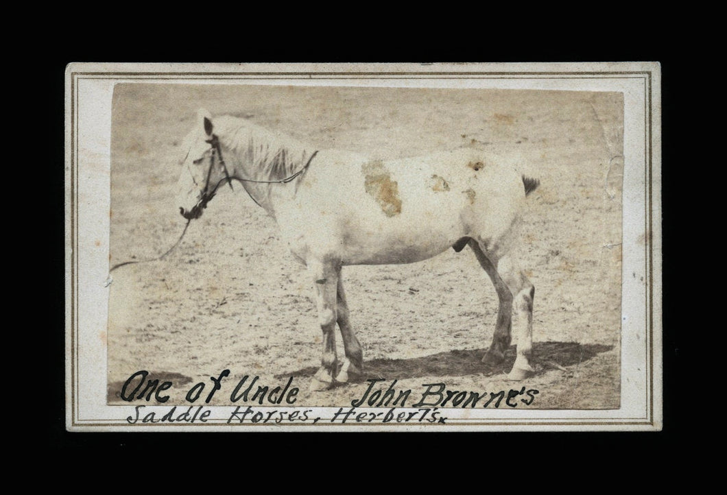 1860s Outdoor CDV Photo of Uncle John Brown's Saddle Horse