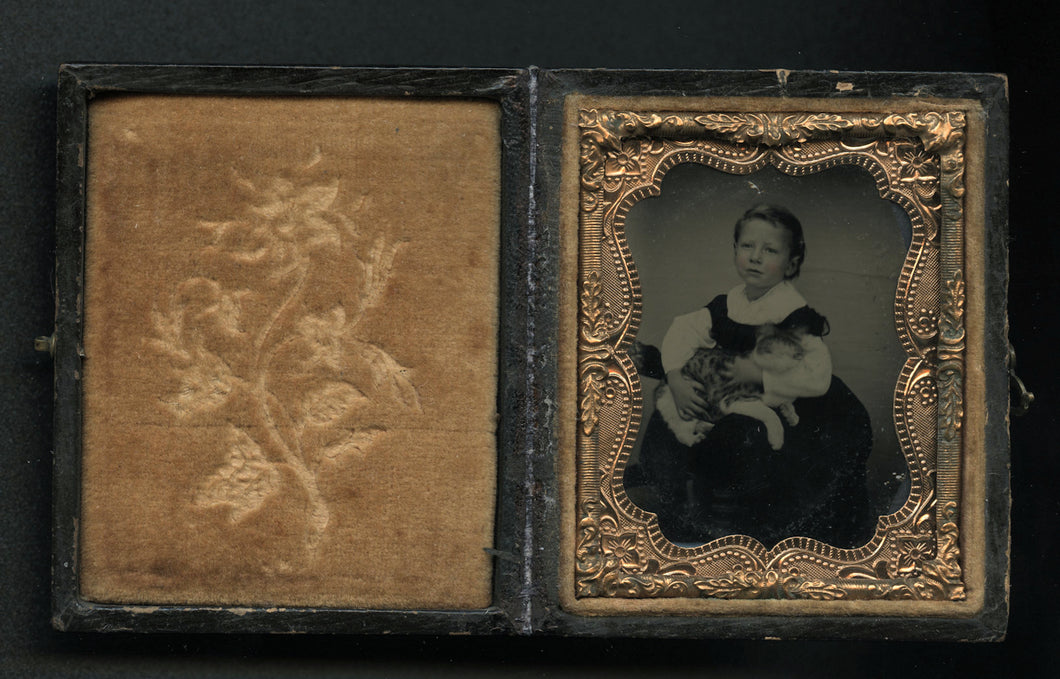 Little Boy or Girl Holding a Cat Cased Tintype