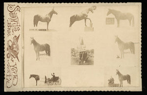 RARE Trick Circus or Sideshow Horse by Swords Bros - 1800s Composite Photo