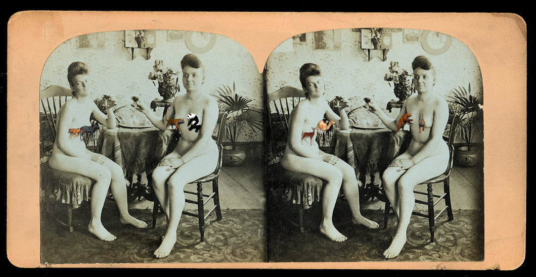 Rare 3D Stereoview Photo - Nude Victorian Girls!