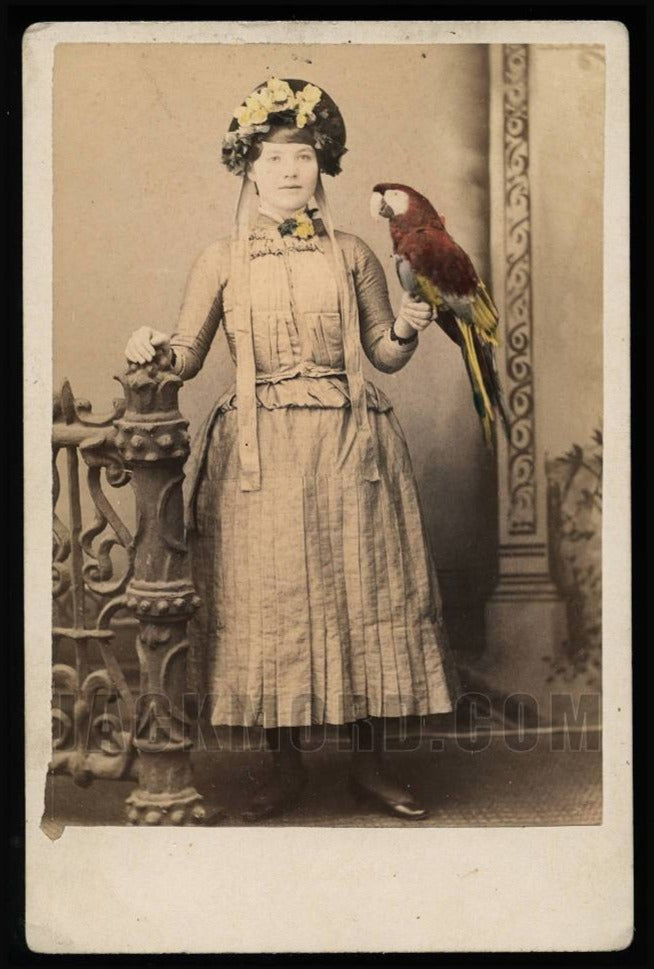 Amazing 1800s Antique Cabinet Photo Girl Holding Tinted Pet Bird - PARROT