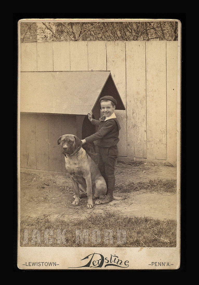 Happy Pennsylvania Boy & Dog Antique 1880s Cabinet Card Photo Wonderful Doghouse!