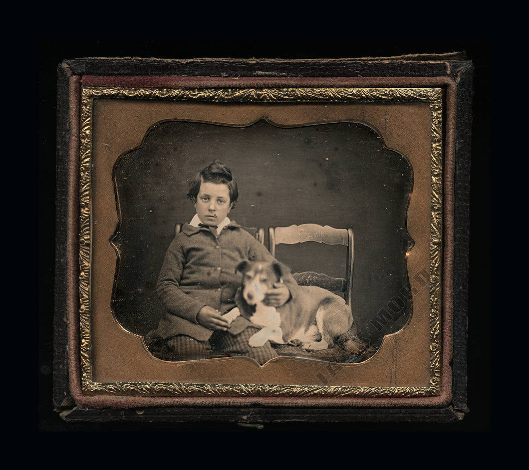 Antique 1850s Daguerreotype Photo New Hampshire Boy & His Dog BOTH ID'd / Sealed