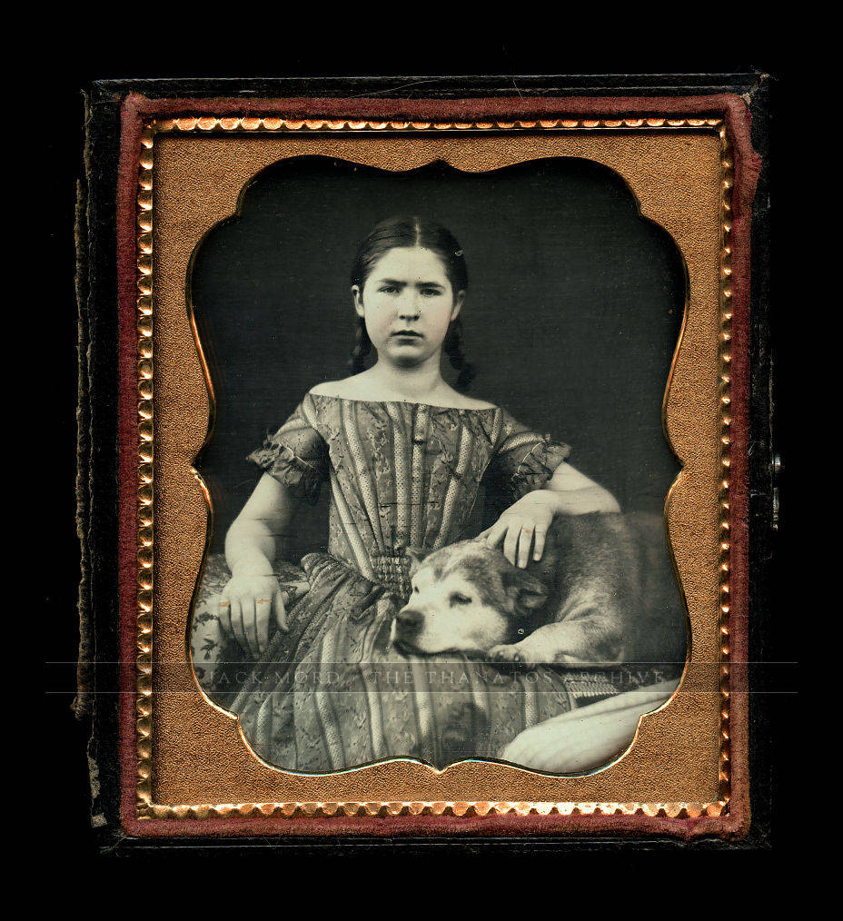 Sweet Image Girl with Braids & Gold Jewelry Old Dog on Lap 1850s Daguerreotype