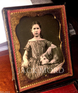 Sweet Image Girl with Braids & Gold Jewelry Old Dog on Lap 1850s Daguerreotype