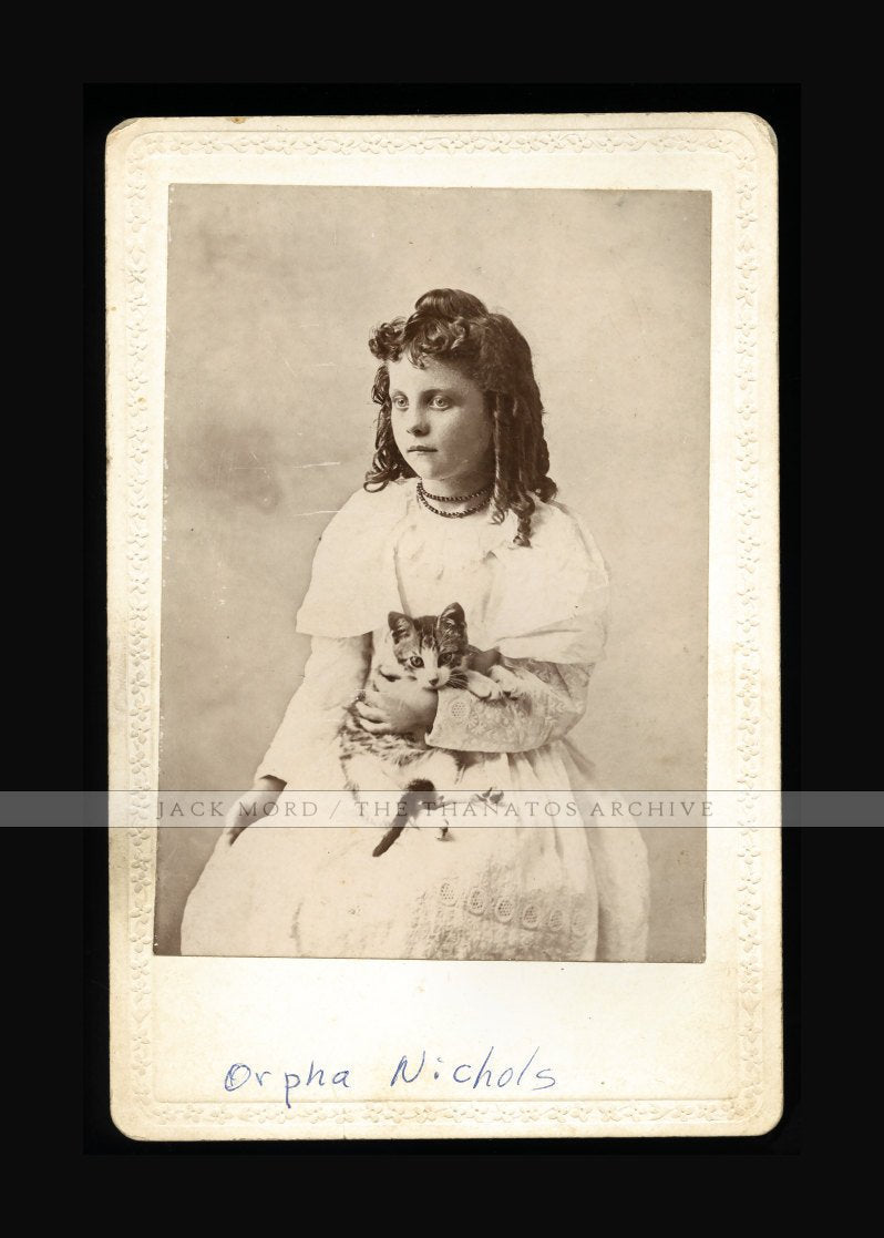 Cute Antique Photo ID'd Lewelling / Nichols Girl Holding Striped CAT or Kitten