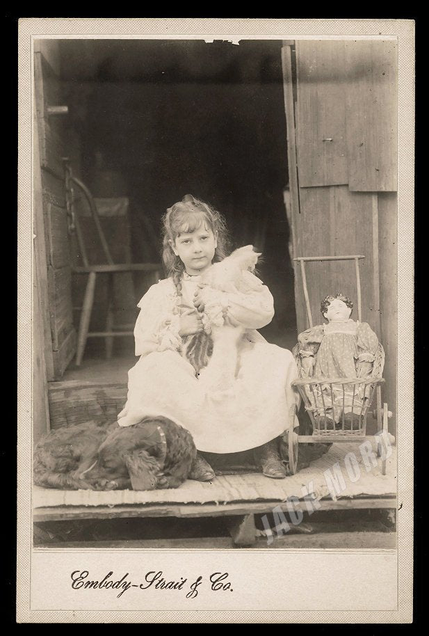 Wonderful Antique Photo, Little Girl Holding Cat, Sleeping Dog, Doll in Stroller