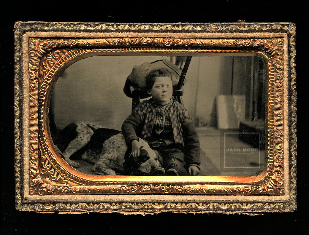 1860s Tintype Photo - Boy in Photographer Studio with Sleeping Spaniel Hunting Dog