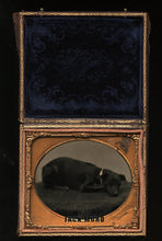 Load image into Gallery viewer, Sleeping Dog on Table! Antique Tintype Photo Fall River MA Photographer Dunshee
