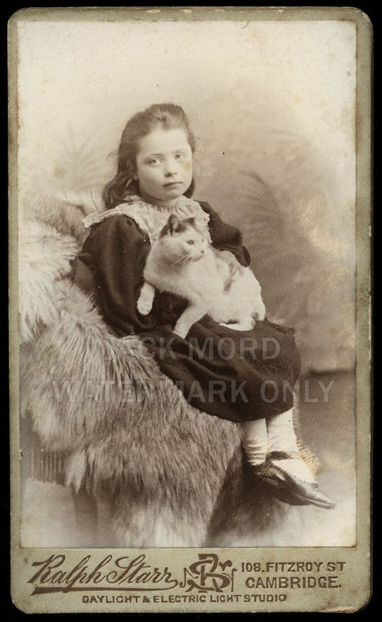 Electric Light - Girl Holding Pet CAT - Great Antique Victorian Era Photo - UK