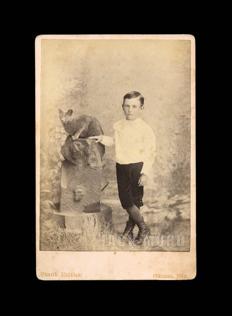1880s Cabinet Card Photo Odessa Missouri Boy with his Cat