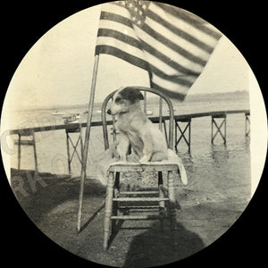 TWO Vintage Snapshot Photos Cute Fourth of July Patriot DOG w US Flag & Master