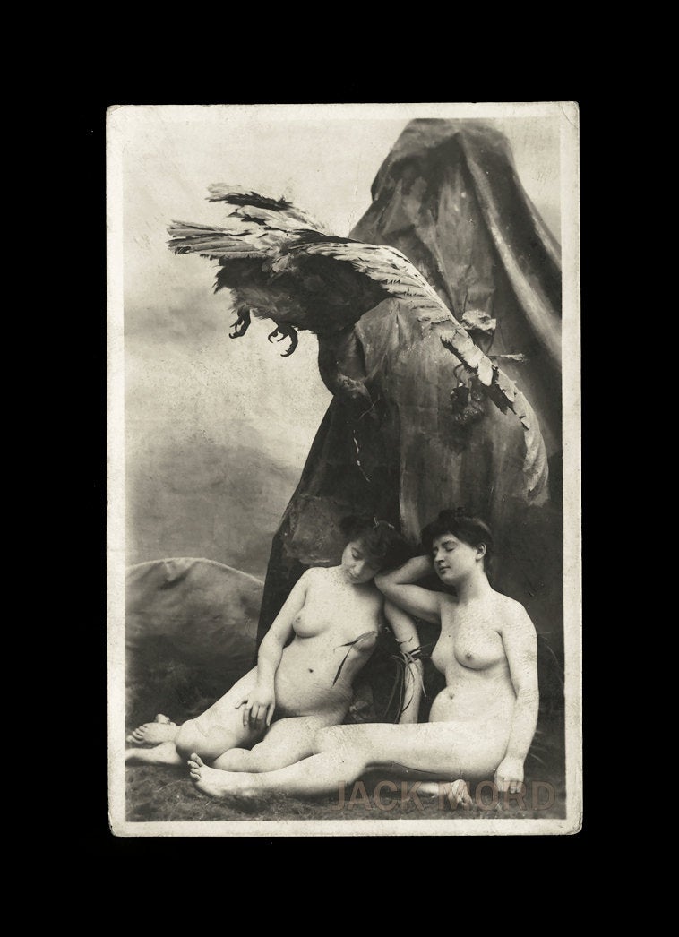 Unusual Antique Photograph of Victorian Era Nude Women & Swooping Bird! Allegorical