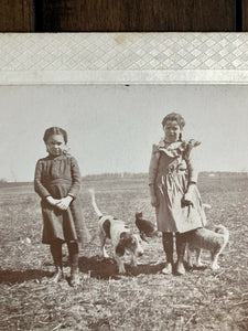 Antique Photo Little Girls with Pets Hound Dog & 2 Cats Lowell Michigan c 1900