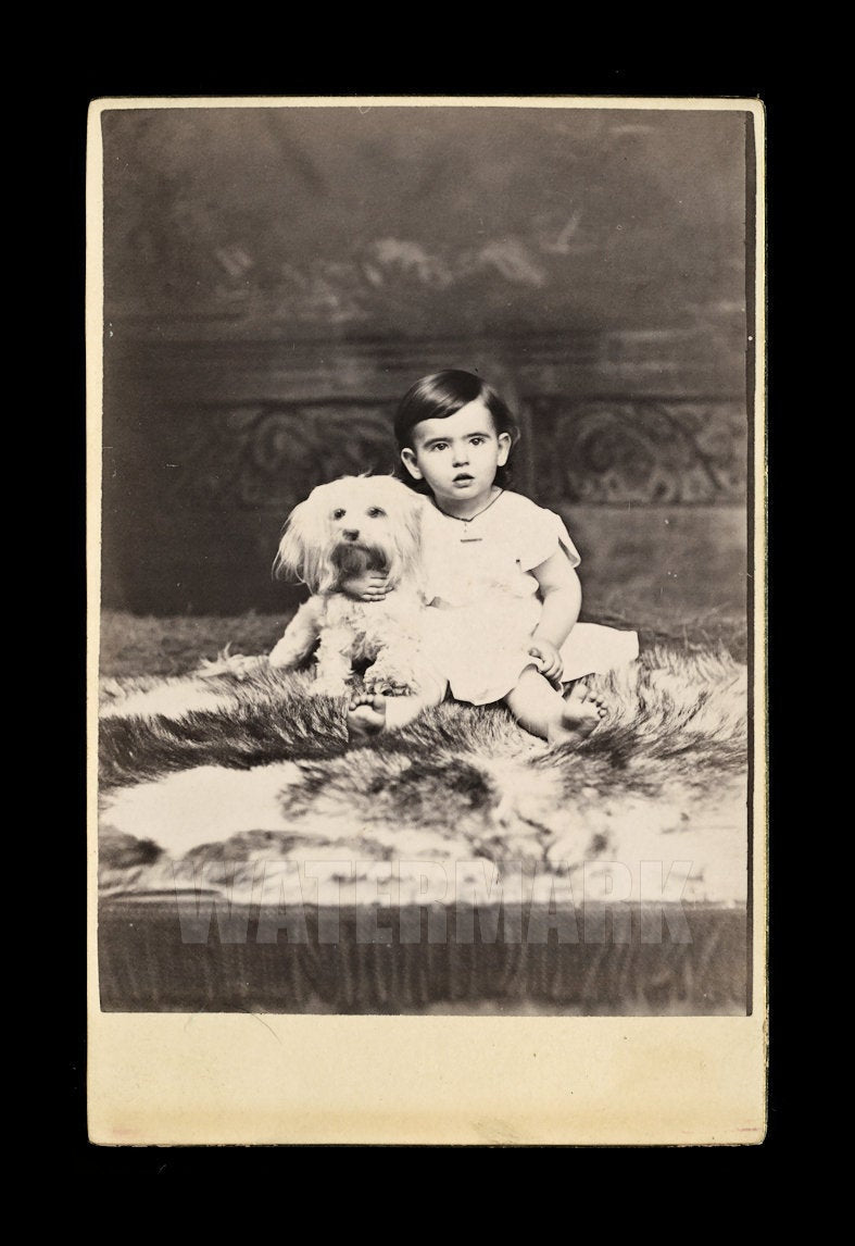 1880s Cabinet Card Photo Long Hair Barefoot Boy with Little Dog Arizona Terr?