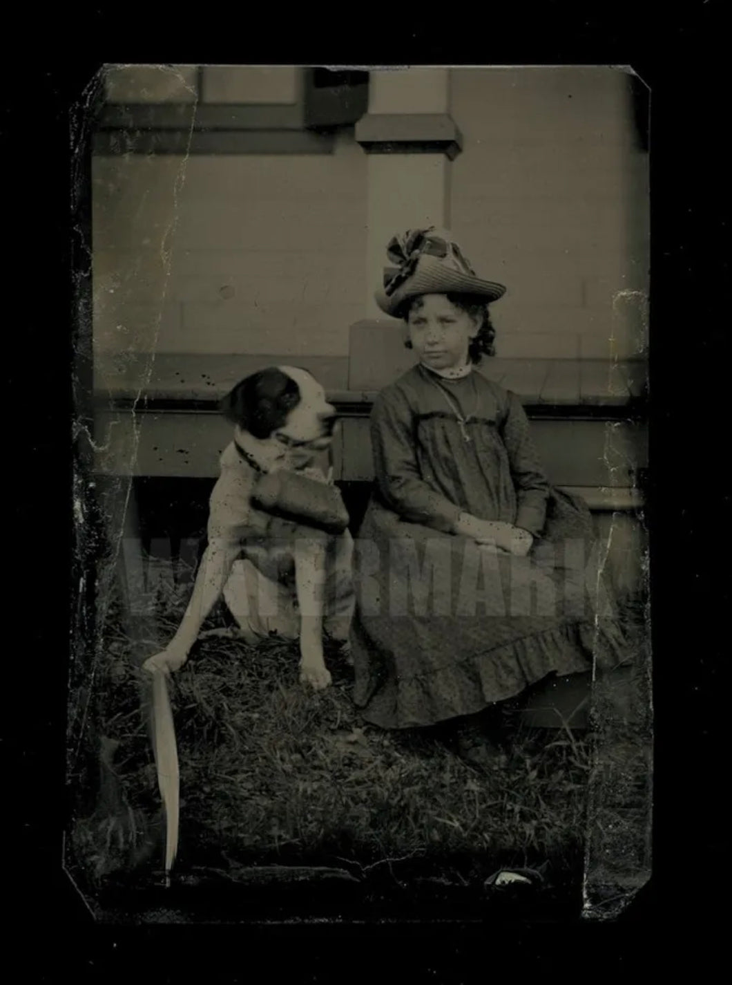 antique tintype photo little girl with her dog who is holding her purse!