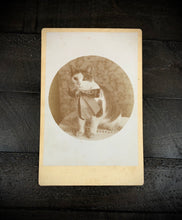 Load image into Gallery viewer, Early-1890s Cabinet Photo, Cat Wearing Bow
