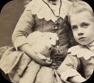 1800s Photo Chicago Girls Sisters Twins & Mystery Beast Pet Cat Rabbit Bird Toy?
