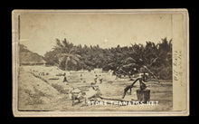 Load image into Gallery viewer, 1860s CDV Workers at Palm Oil Mill in India / Rare Occupational Photo, Antique
