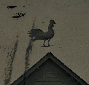 Amazing Full Plate Tintype Photo POPE & SONS Storefront Rooster Weather Vane ++