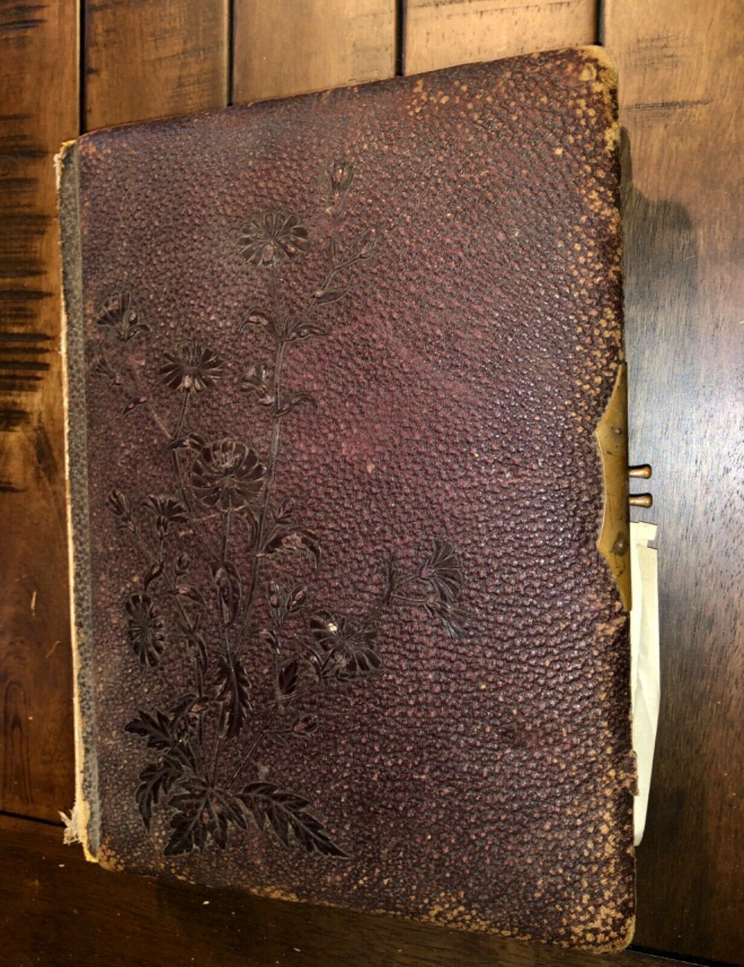 LARGE leather Victorian photo album brown family of Michigan cdv