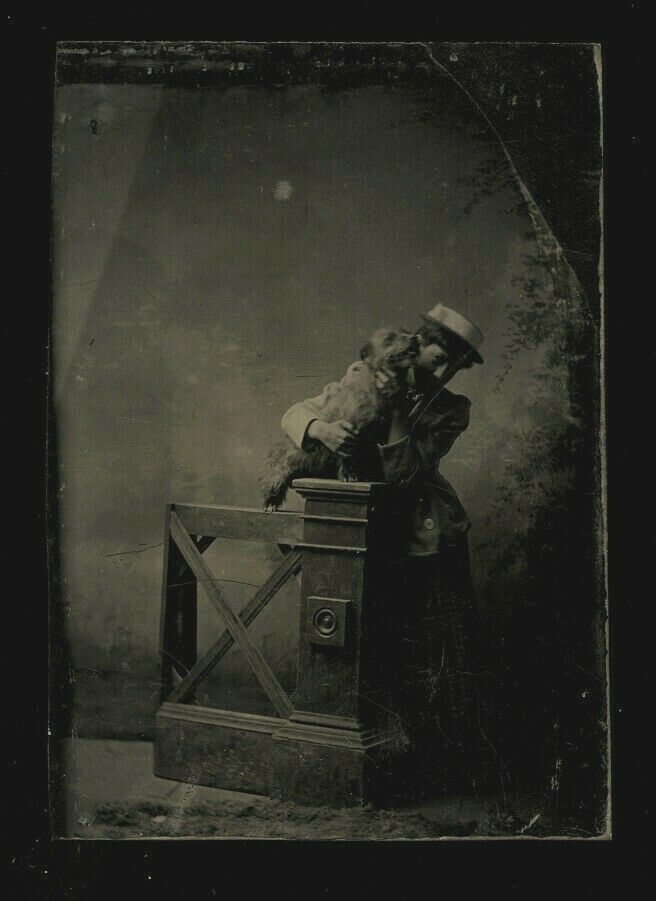 Antique Tintype Photo Woman Holding Terrier Dog - Cute Pose! 1800s Victorian Era