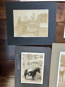 [ HORSES ] Antique & Vintage Photo Photography Lot