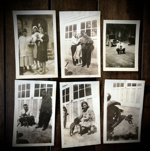 Lot Of Vintage Snapshots People Holding & Playing w Their Pet Dogs 1920s 1930s
