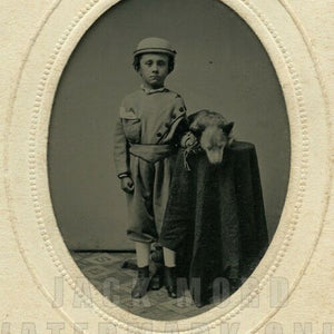 excellent civil war 1860s tintype photo little boy & sleeping dog or coyote pup!
