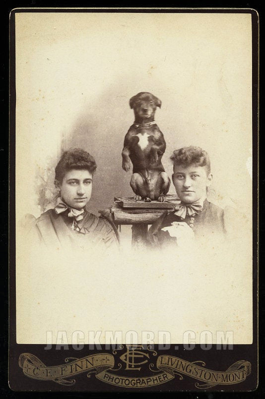 Funny Antique Photo Sisters & Cute Trick Dog - 