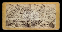 Load image into Gallery viewer, Rare &amp; Unusual Antique 1870s Stereoview Photo - SNAKES in 3D!
