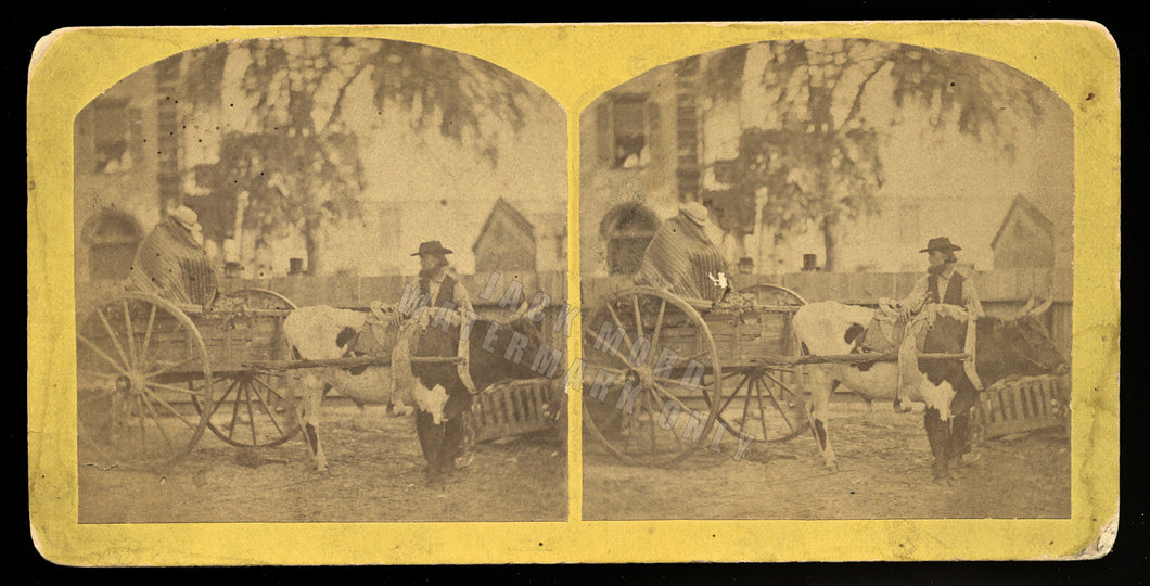 Florida Cracker Stereoview Photo by Wood & Bickel - Reconstruction Era South
